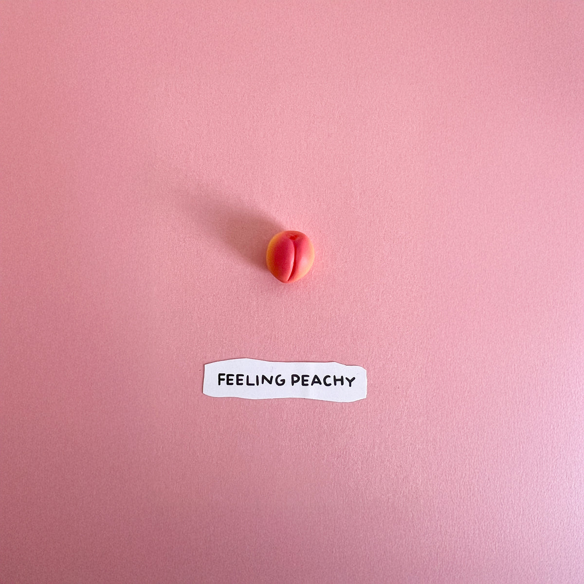 Feeling peachy - Cuadro con miniaturas en relieve
