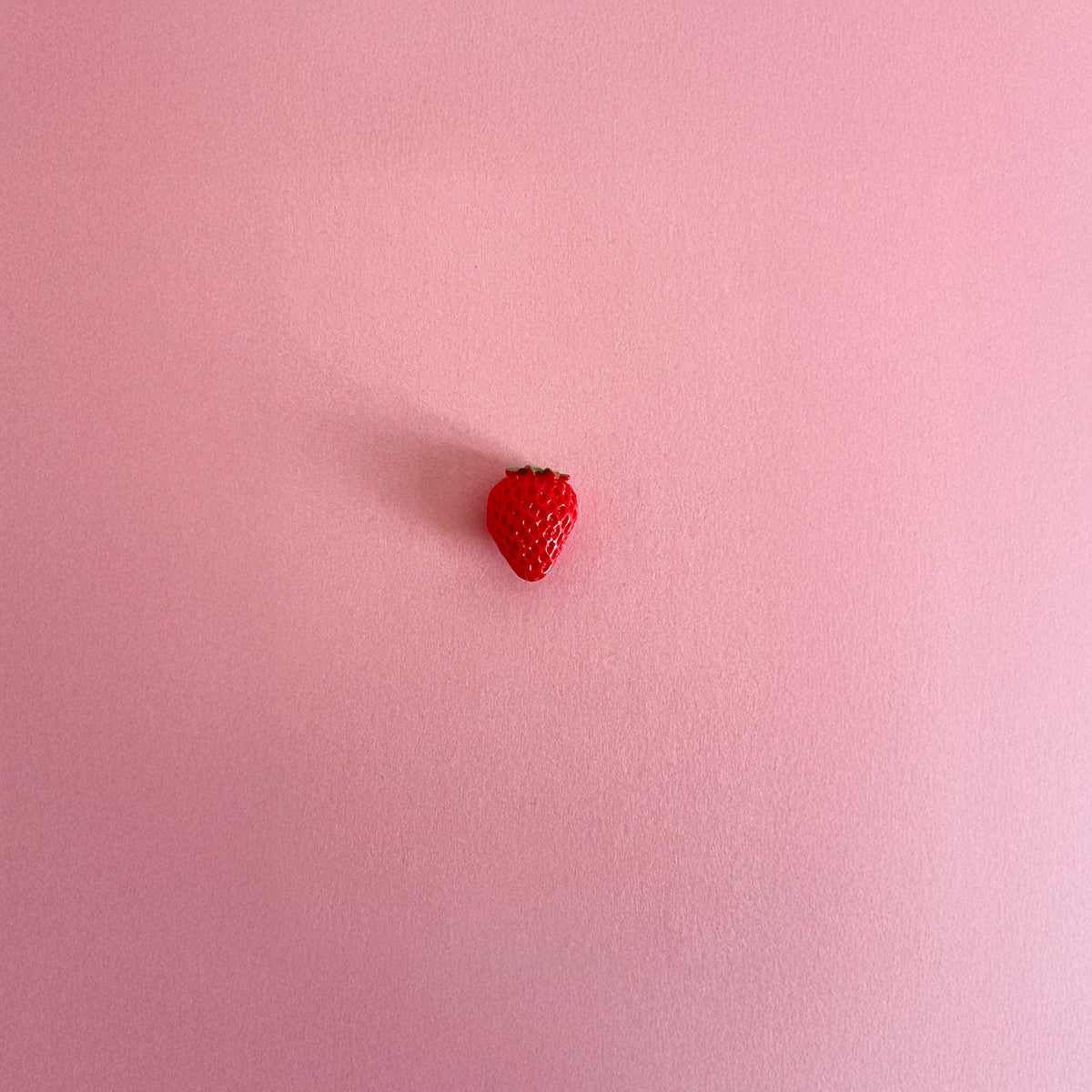Frutillita - Cuadro con miniaturas en relieve